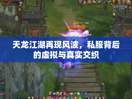 天龙江湖再现风波，私服背后的虚拟与真实交织