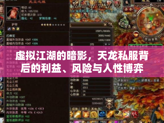 虚拟江湖的暗影，天龙私服背后的利益、风险与人性博弈