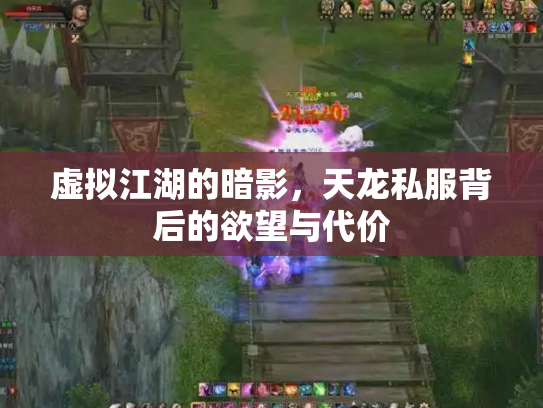 虚拟江湖的暗影，天龙私服背后的欲望与代价