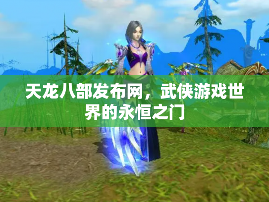 天龙八部发布网，武侠游戏世界的永恒之门