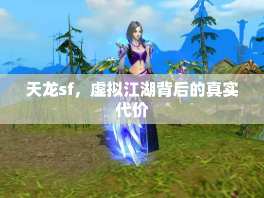 天龙sf，虚拟江湖背后的真实代价