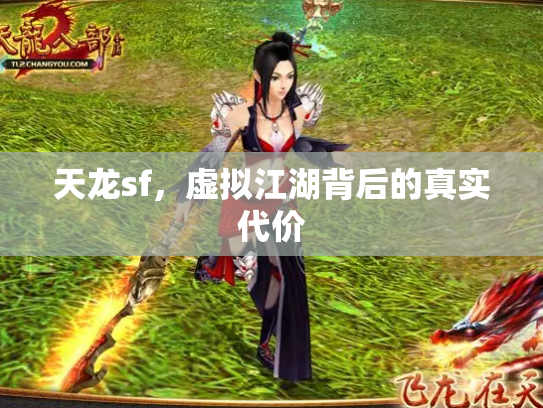 天龙sf，虚拟江湖背后的真实代价