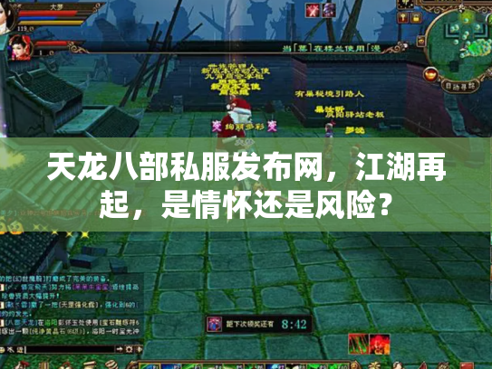 天龙八部私服发布网，江湖再起，是情怀还是风险？