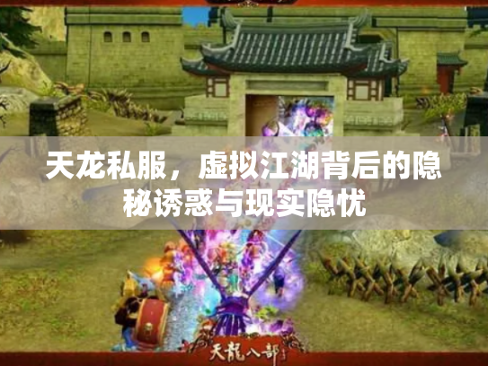 天龙私服，虚拟江湖背后的隐秘诱惑与现实隐忧