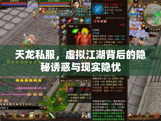 天龙私服，虚拟江湖背后的隐秘诱惑与现实隐忧