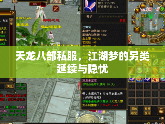 天龙八部私服，江湖梦的另类延续与隐忧