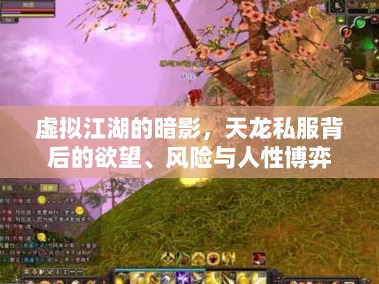 虚拟江湖的暗影，天龙私服背后的欲望、风险与人性博弈
