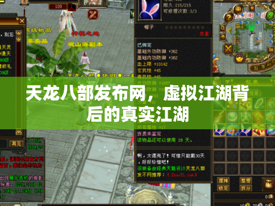 天龙八部发布网，虚拟江湖背后的真实江湖