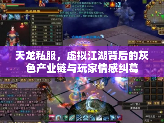 天龙私服，虚拟江湖背后的灰色产业链与玩家情感纠葛