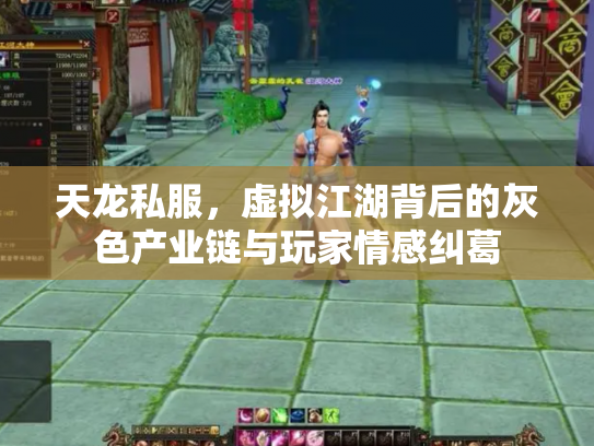 天龙私服，虚拟江湖背后的灰色产业链与玩家情感纠葛