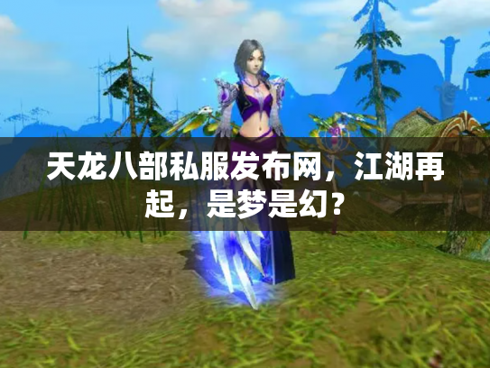 天龙八部私服发布网，江湖再起，是梦是幻？