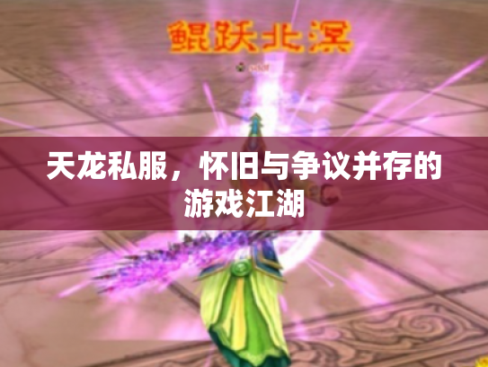 天龙私服，怀旧与争议并存的游戏江湖
