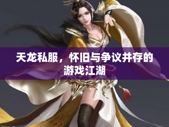 天龙私服，怀旧与争议并存的游戏江湖