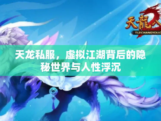 天龙私服，虚拟江湖背后的隐秘世界与人性浮沉