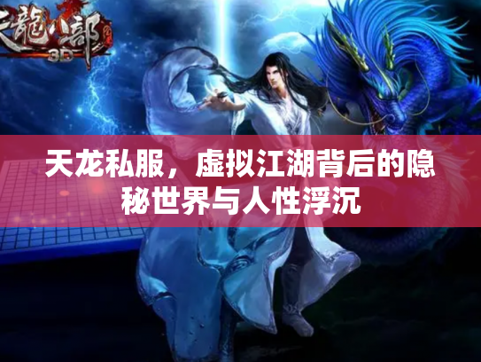 天龙私服，虚拟江湖背后的隐秘世界与人性浮沉