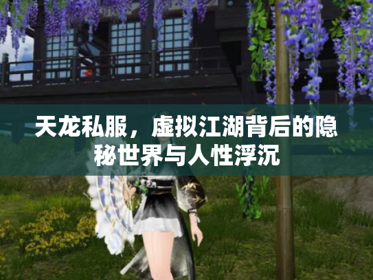 天龙私服，虚拟江湖背后的隐秘世界与人性浮沉
