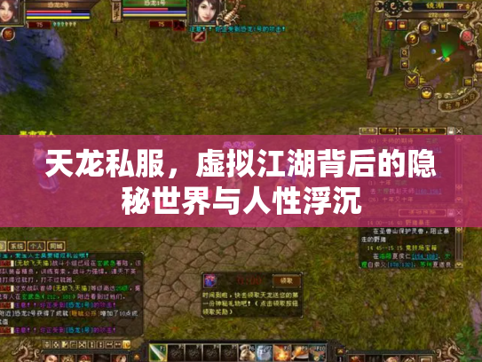 天龙私服，虚拟江湖背后的隐秘世界与人性浮沉