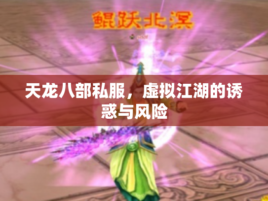 天龙八部私服，虚拟江湖的诱惑与风险