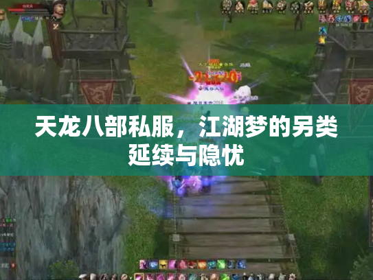 天龙八部私服，江湖梦的另类延续与隐忧