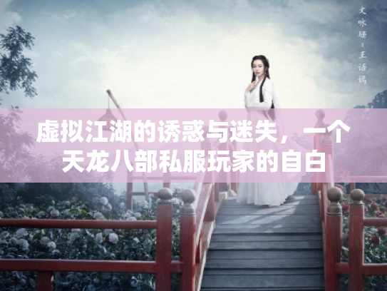 虚拟江湖的诱惑与迷失，一个天龙八部私服玩家的自白