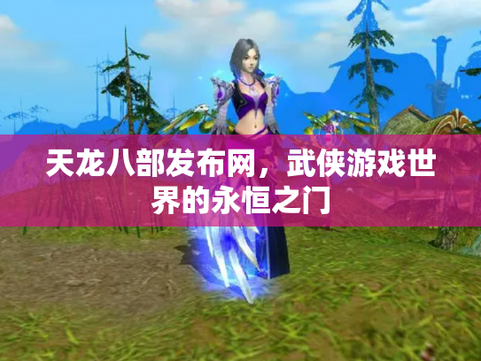天龙八部发布网，武侠游戏世界的永恒之门