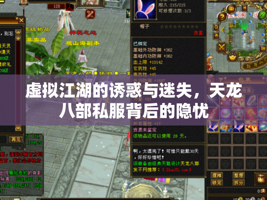 虚拟江湖的诱惑与迷失，天龙八部私服背后的隐忧