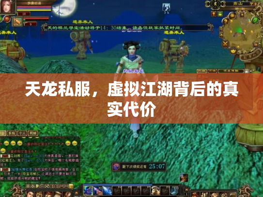 天龙私服，虚拟江湖背后的真实代价