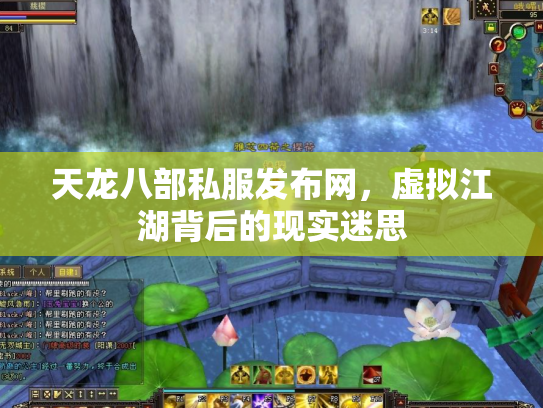 天龙八部私服发布网，虚拟江湖背后的现实迷思