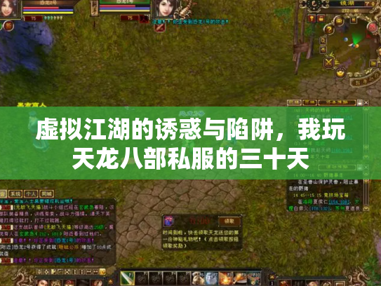 虚拟江湖的诱惑与陷阱，我玩天龙八部私服的三十天