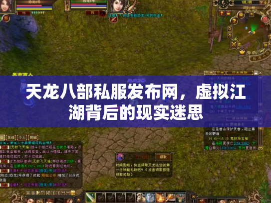 天龙八部私服发布网，虚拟江湖背后的现实迷思