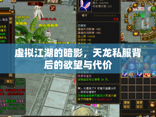虚拟江湖的暗影，天龙私服背后的欲望与代价