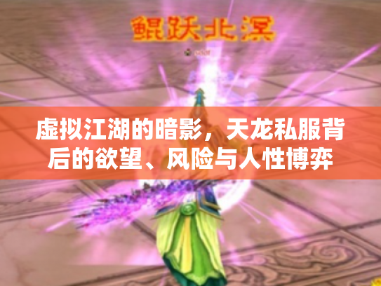 虚拟江湖的暗影，天龙私服背后的欲望、风险与人性博弈