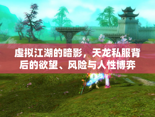 虚拟江湖的暗影，天龙私服背后的欲望、风险与人性博弈
