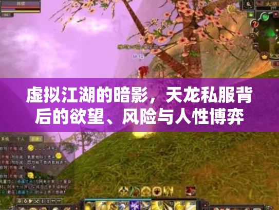 虚拟江湖的暗影，天龙私服背后的欲望、风险与人性博弈