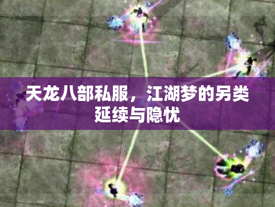 天龙八部私服，江湖梦的另类延续与隐忧
