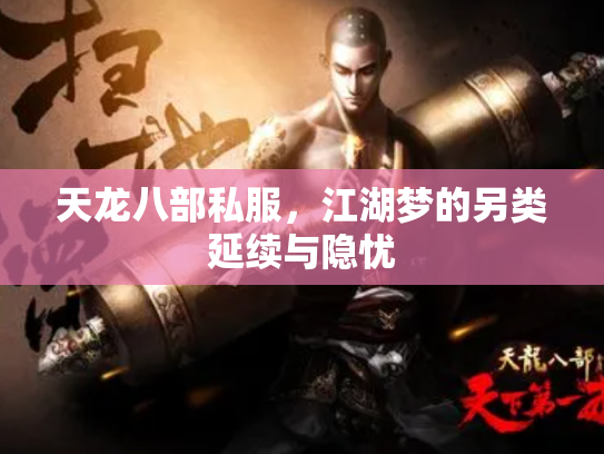 天龙八部私服，江湖梦的另类延续与隐忧