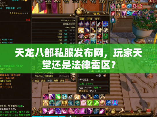 天龙八部私服发布网，玩家天堂还是法律雷区？