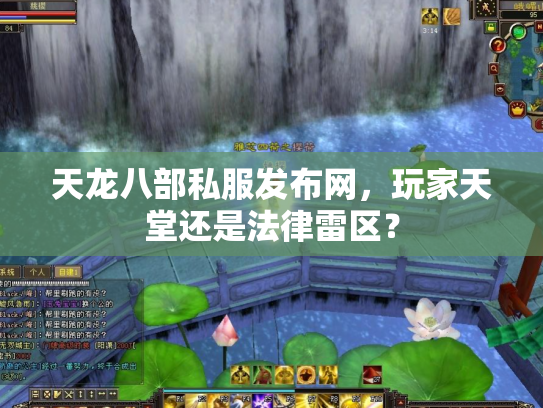 天龙八部私服发布网，玩家天堂还是法律雷区？