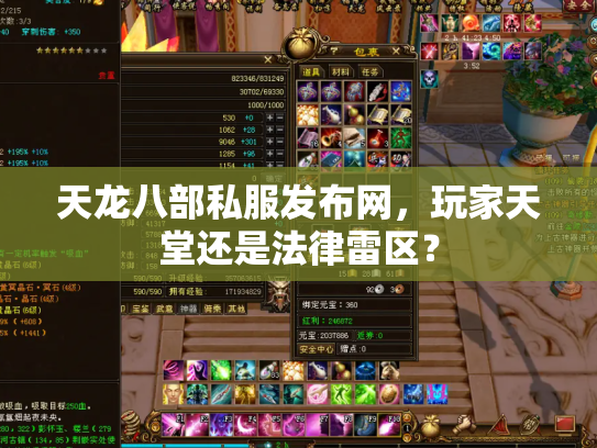 天龙八部私服发布网，玩家天堂还是法律雷区？