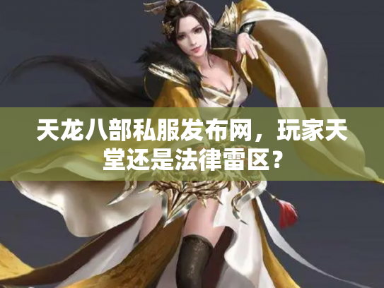 天龙八部私服发布网，玩家天堂还是法律雷区？