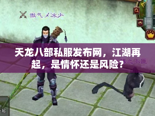 天龙八部私服发布网，江湖再起，是情怀还是风险？
