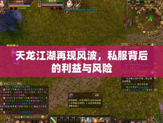 天龙江湖再现风波，私服背后的利益与风险