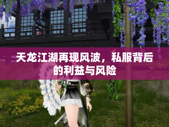 天龙江湖再现风波，私服背后的利益与风险