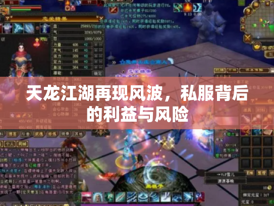 天龙江湖再现风波，私服背后的利益与风险
