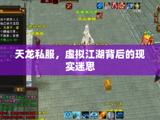 天龙私服，虚拟江湖背后的现实迷思