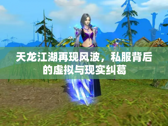 天龙江湖再现风波，私服背后的虚拟与现实纠葛
