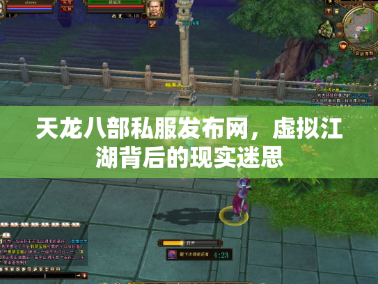 天龙八部私服发布网，虚拟江湖背后的现实迷思