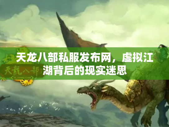 天龙八部私服发布网，虚拟江湖背后的现实迷思