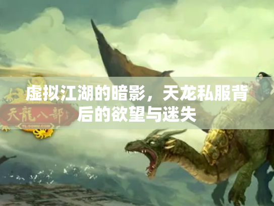 虚拟江湖的暗影，天龙私服背后的欲望与迷失