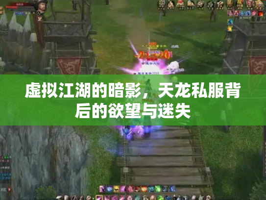 虚拟江湖的暗影，天龙私服背后的欲望与迷失